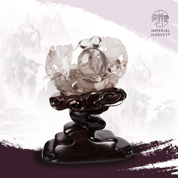 02.26_The Importance of the Water Star-FA-12