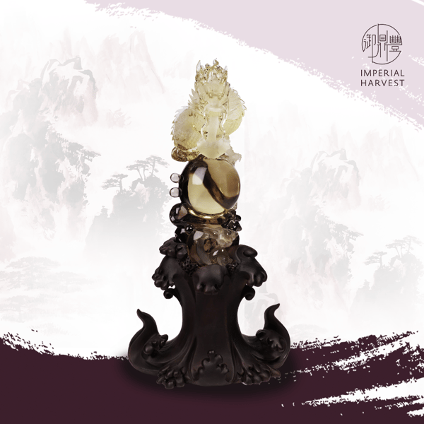 02.26_The Importance of the Water Star-FA-14