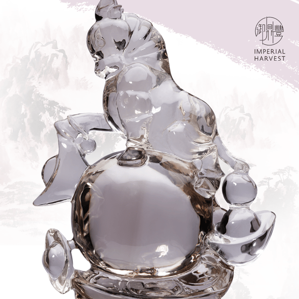 02.26_The Importance of the Water Star-FA-19