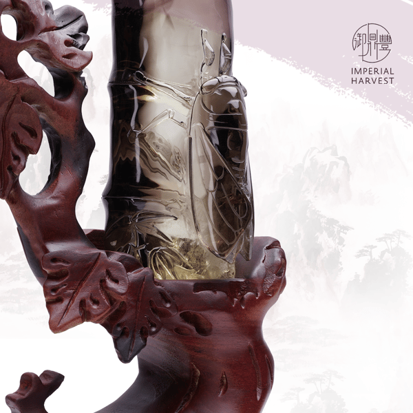 02.26_The Importance of the Water Star-FA-3-1