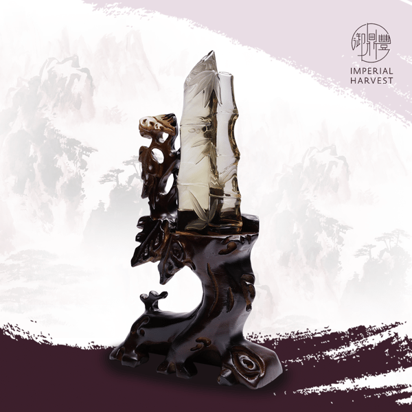 02.26_The Importance of the Water Star-FA-4-1