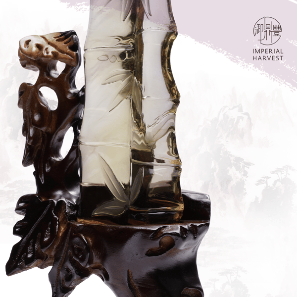 02.26_The Importance of the Water Star-FA-5-1