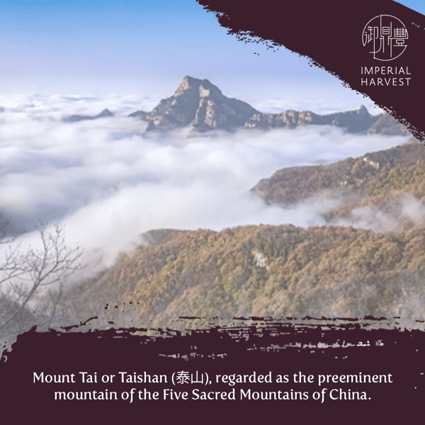 02102020 BOH blog Mount Tai