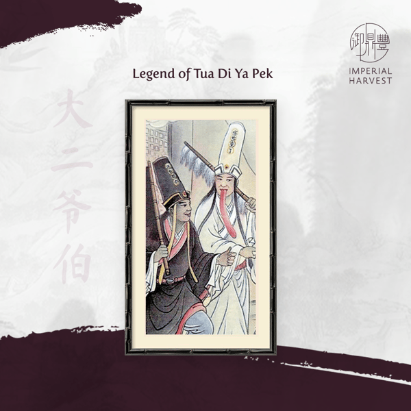 04092020 TYDP blog 2