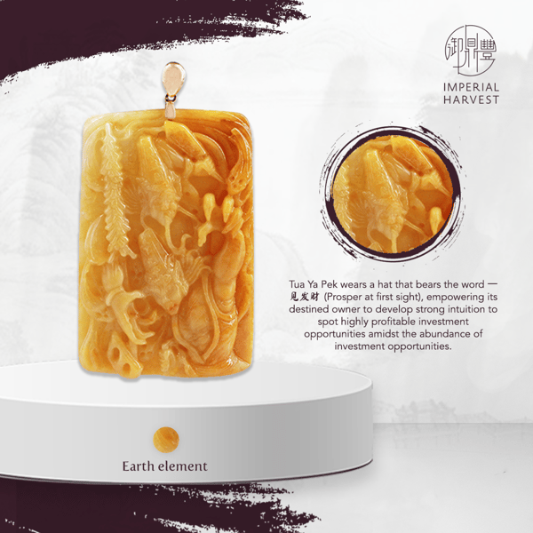 04092020 TYDP blog 4