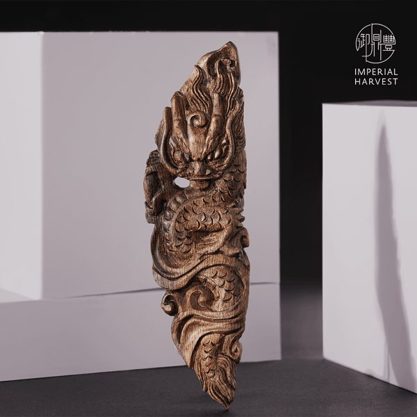 05.07_Qinan Collection_2021-purple-1