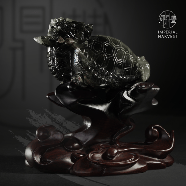 07.13_Mythical Creatures Crystal_Dragon Turtle-9