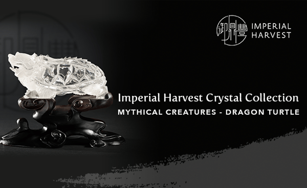 07.13_Mythical Creatures Crystal_Dragon Turtle-Banner