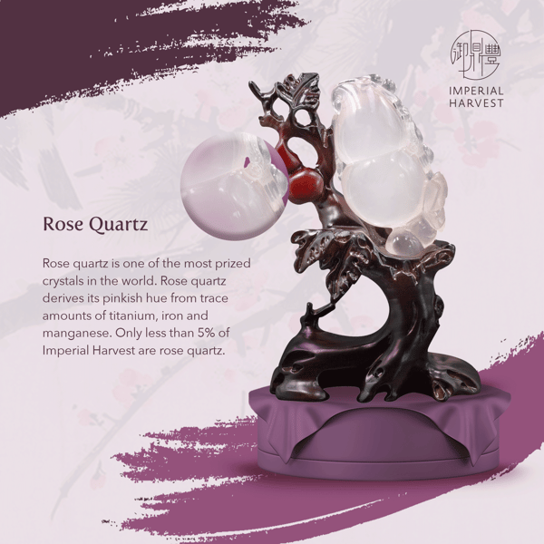 11062020 3-attributes-blog-WIPRose-Quartz_