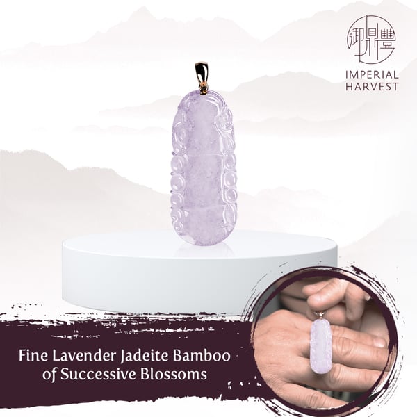 12.08_IH Stories_Gordon_SuccessiveBlossoms