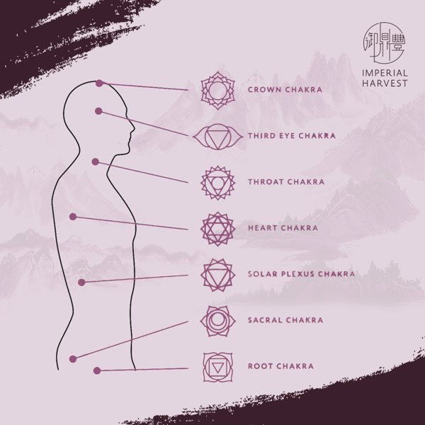 12082020 108 blog Chakras