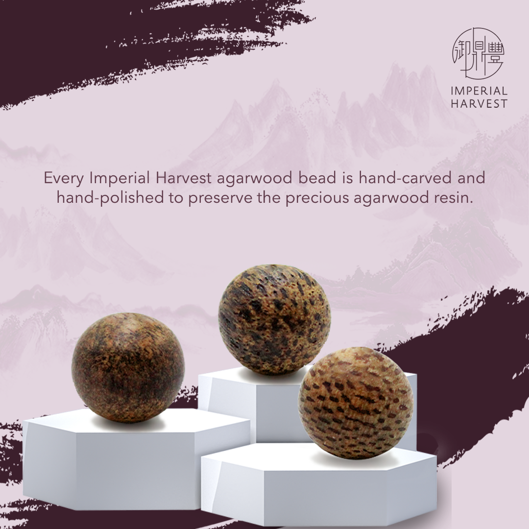 12082020 108 blog Polishing