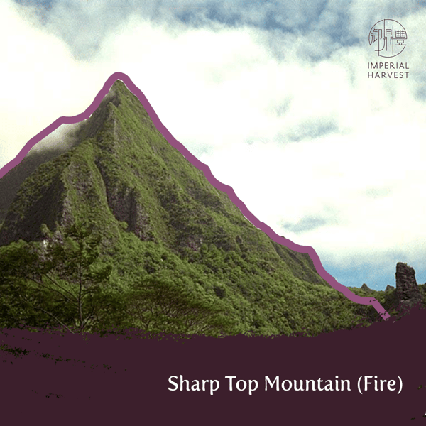 16092020 blog fire mountain