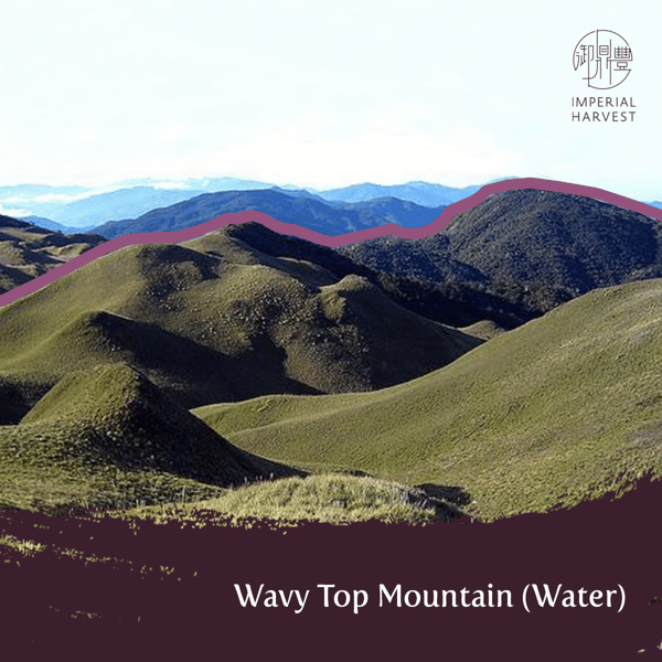 16092020 blog water mountain