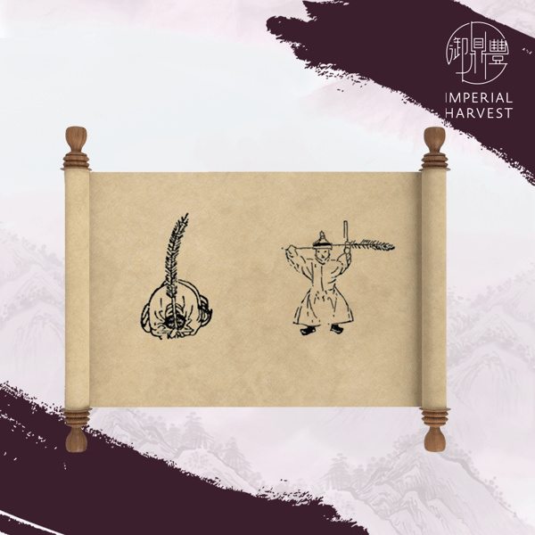 16102020 blog Civil Dance