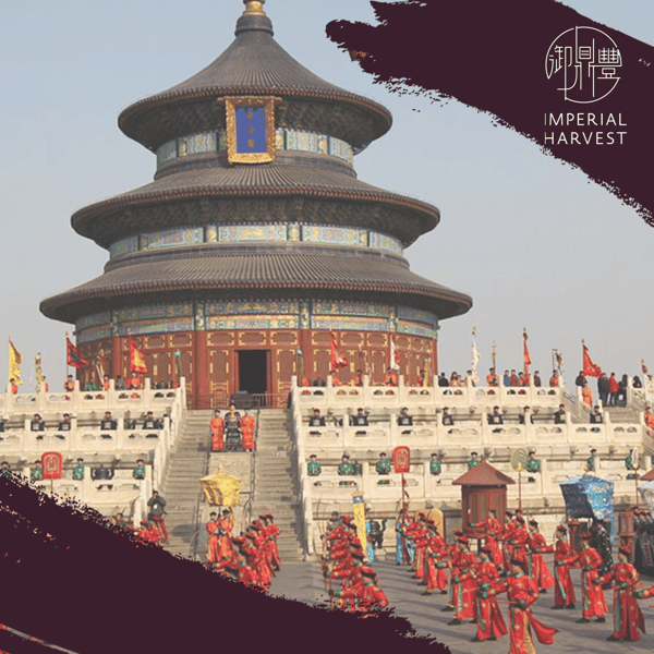 16102020 blog Emperor Rites