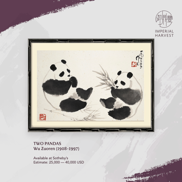 18092020 WIS blog Two Pandas