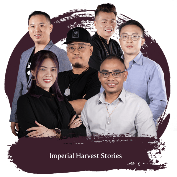 18122020 ggwp new blog16.IH Stories