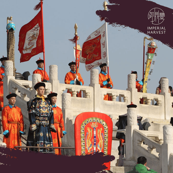 19112020 lidong article circular altar