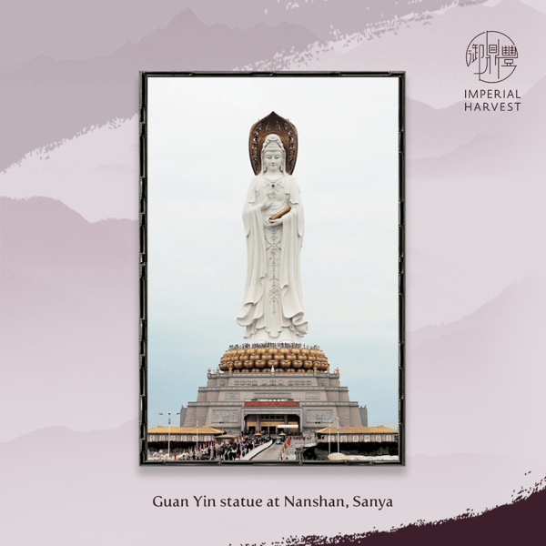 2021_July_Guan Yin Crystal Collection-13