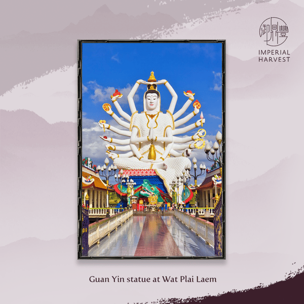 2021_July_Guan Yin Crystal Collection-15