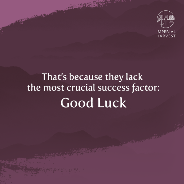 The Hard Truth about Success: Good Luck