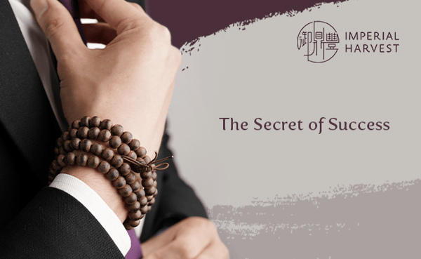 The Secret of Success Banner 1