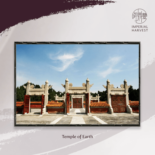 2021_May_Summer_The Season of Abundance-4