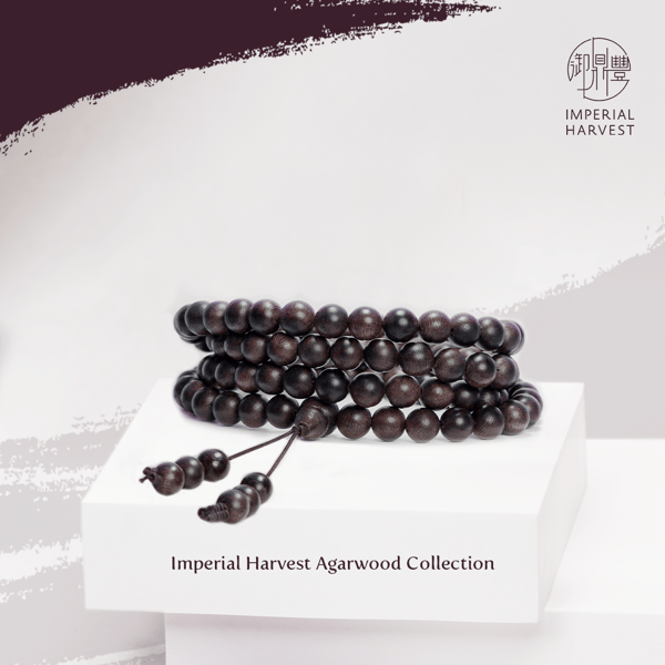 2021_May_Summer_The Season of Abundance-5