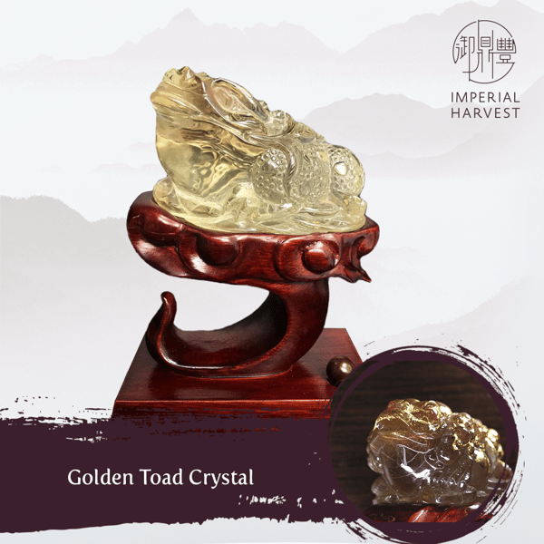 21102020 jun yih blog Golden Toad