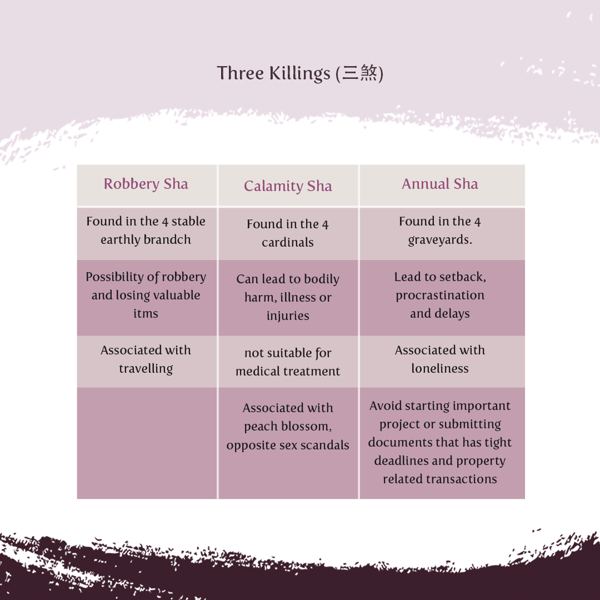 23122020 blog 5.Three Killings info