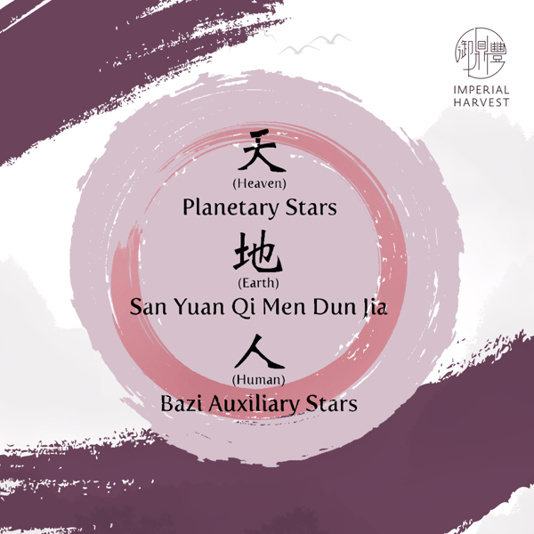 30072020 5wg faq elements copy