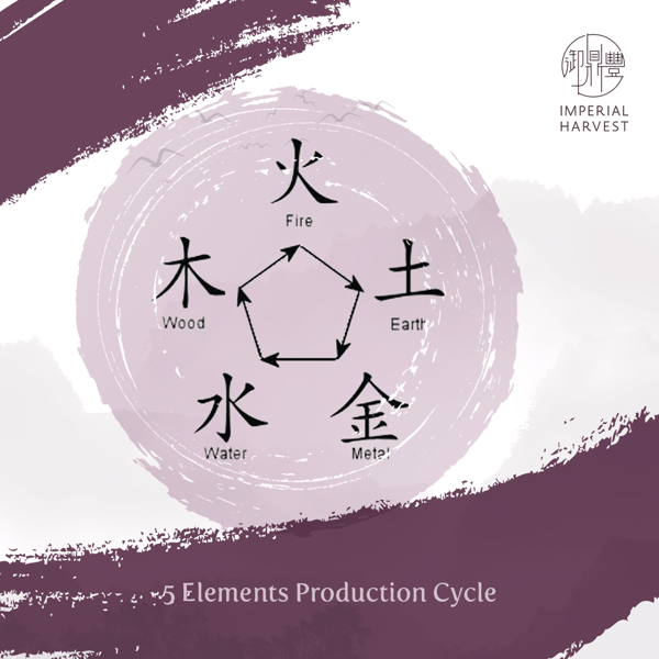 30072020 5wg faq elements