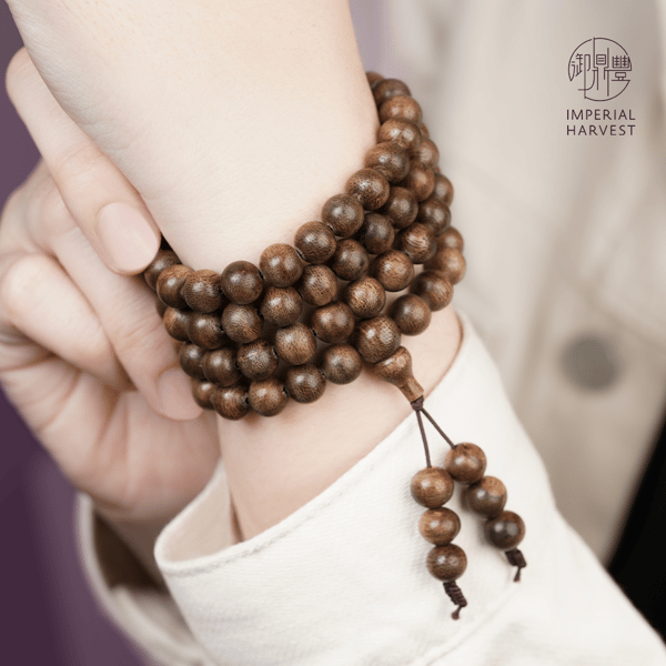 31.March_Dark Earth_2