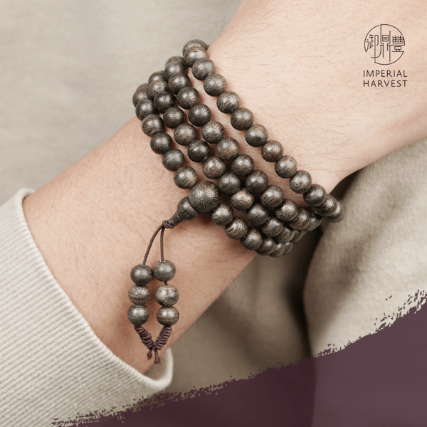 31.March_Near Sinking-2