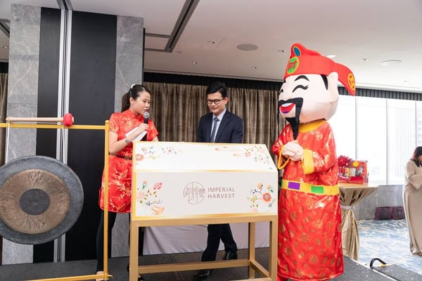 52377250_2219304201425669_5809490777385992192_n