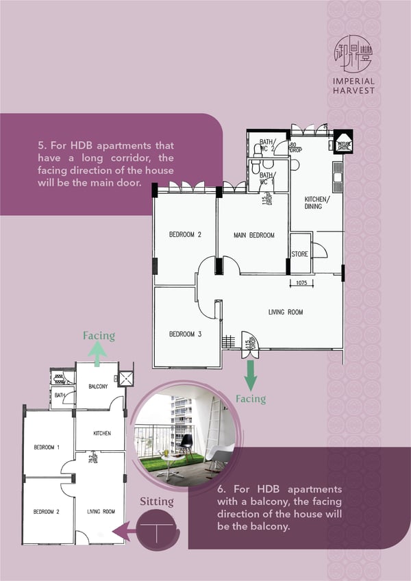 81-flyingstar-01-hdb-5
