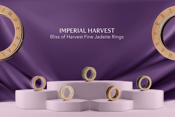 BOH-Full-set-apr2020