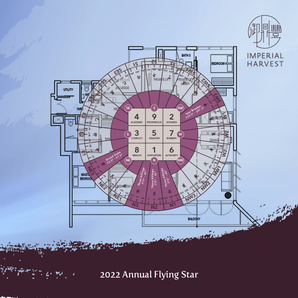 2022 Floor Plan Flying Stars