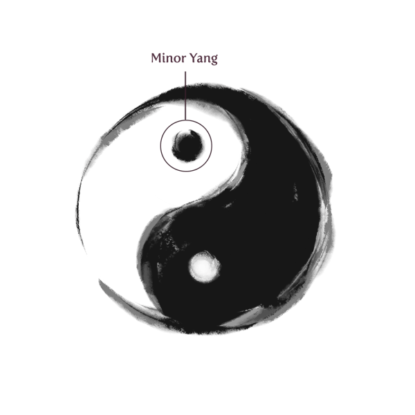 Blog_01.14_LiChun_Minor Yang