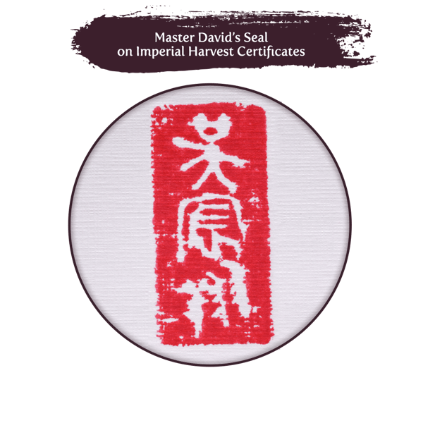 Blog_01.21_IH Seal_IH Seal on certificate