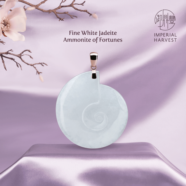 Blog_01.28_IH Spring 22 Signature Collection_Ammonite-1