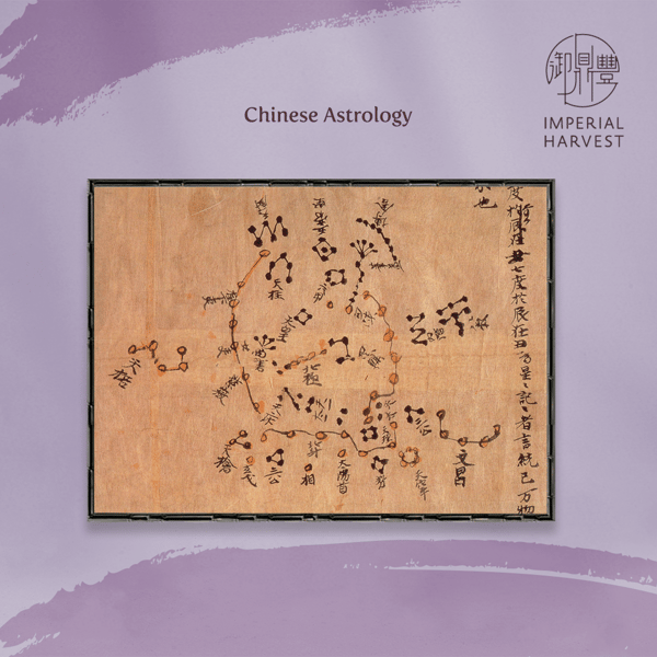 Blog_02.18_Period 9_Chinese Astrology