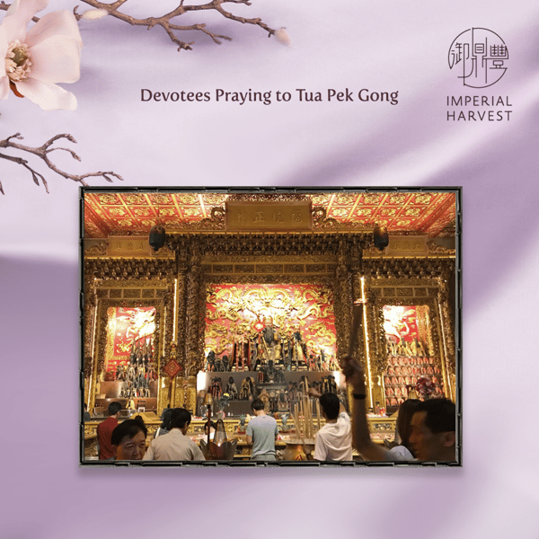 Blog_02.18_Spring 2022 CWG_PrayingTPG-1