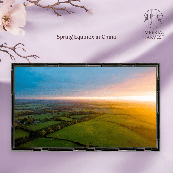 Blog_02.25_Spring Equinox_Spring Equinox in China