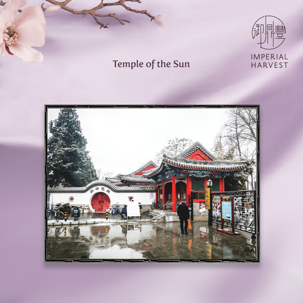 Blog_02.25_Spring Equinox_Temple of the Sun