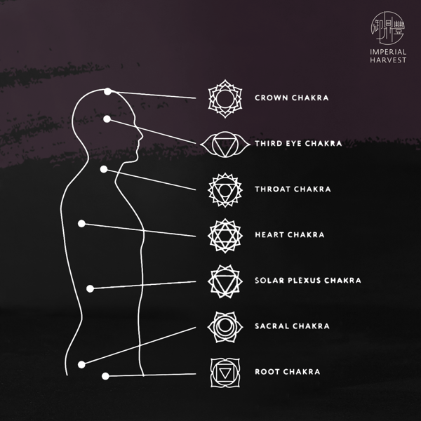 Blog_020821_Sandalwood_Chakras