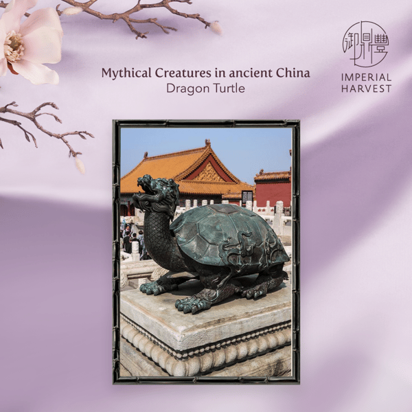 Blog_03.04_Spring Crystal Collection_Dragon Turtle drawing