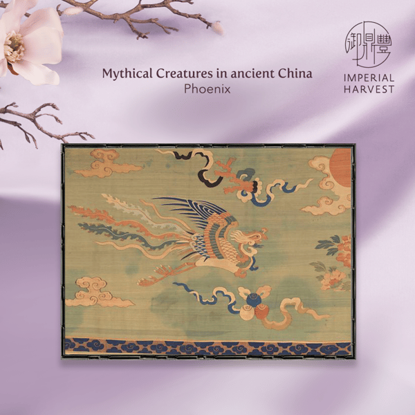 Blog_03.04_Spring Crystal Collection_Phoenix drawing