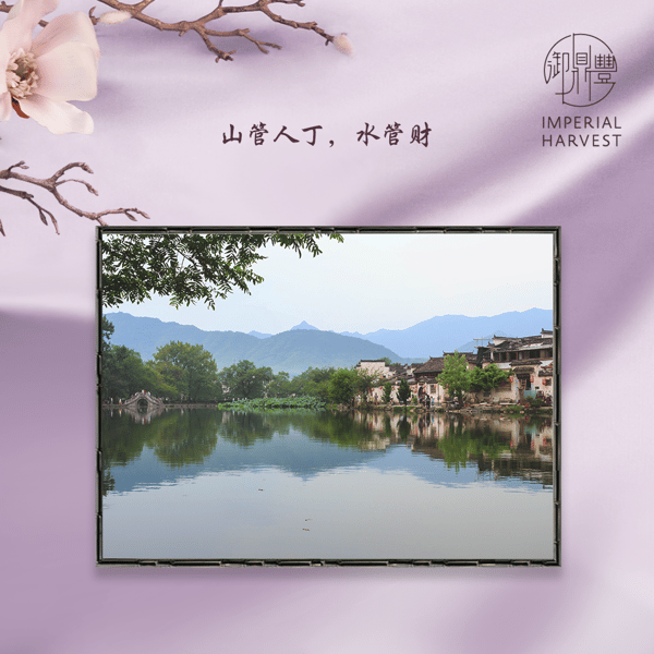 Blog_03.04_Spring Crystal Collection_Quote